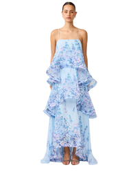 Elliatt Armani Tiered Maxi Dress Baby Blue Floral