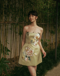 Leo Lin Roselle Embroidered Bustier Mini Dress