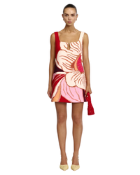 Acler Llewellyn Mini Dress in Red Rouge Eclipse print, front view