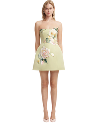 Leo Lin Roselle Embroidered Bustier Mini Dress