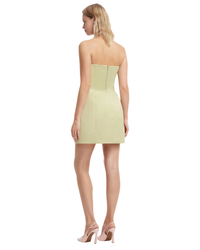 Leo Lin Roselle Embroidered Bustier Mini Dress