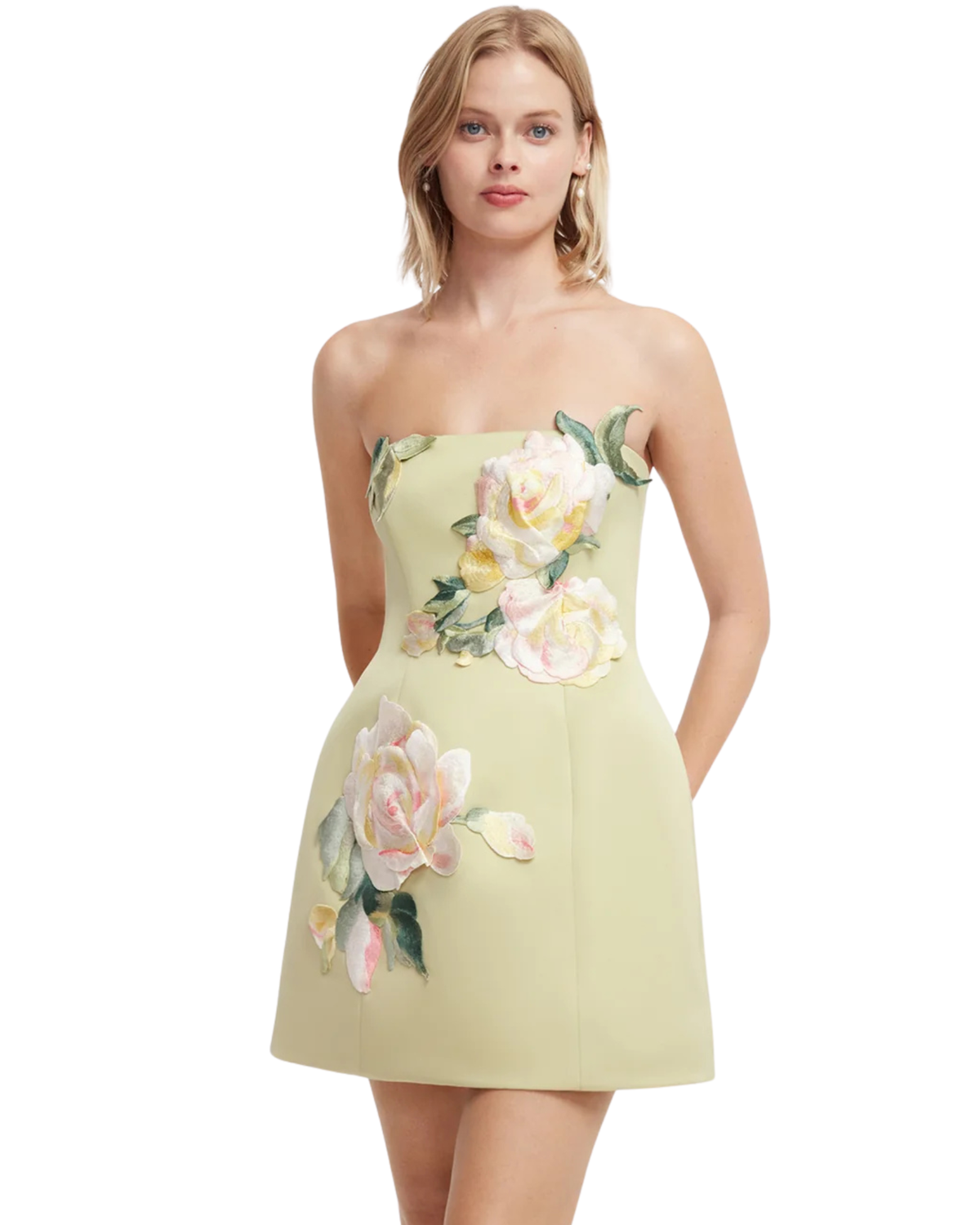 Leo Lin Roselle Embroidered Bustier Mini Dress