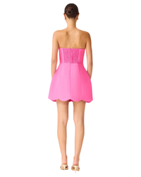Elliatt Laurentia Tulip Mini Dress in fuchsia pink, back view