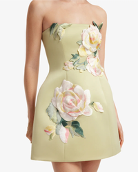 Leo Lin Roselle Embroidered Bustier Mini Dress