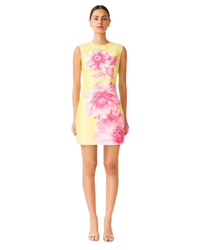 Elliatt Sybella Shift Mini Dress in pink and yellow floral, front view