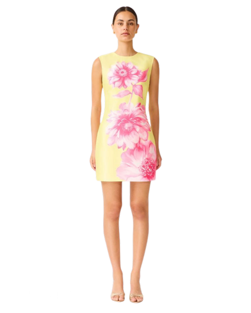Elliatt Sybella Shift Mini Dress in pink and yellow floral, front view