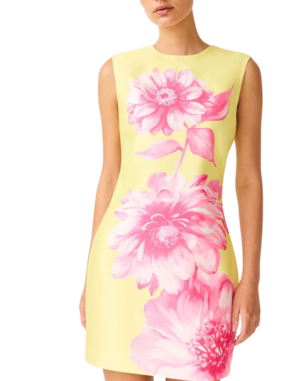 Elliatt Sybella Shift Mini Dress in pink and yellow floral, front close-up